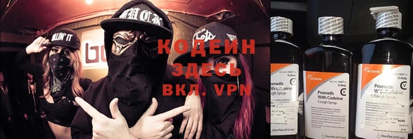 индика Кострома