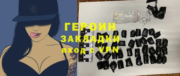 индика Кострома