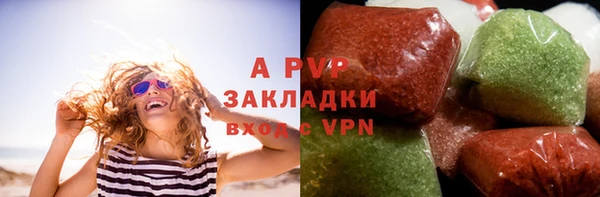 индика Кострома