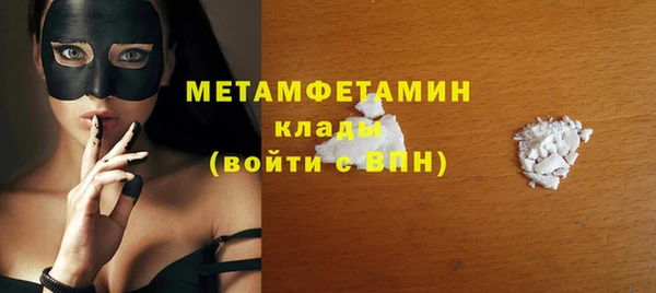 индика Кострома