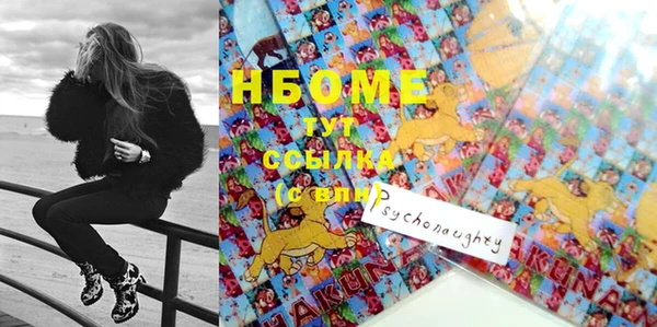 индика Кострома