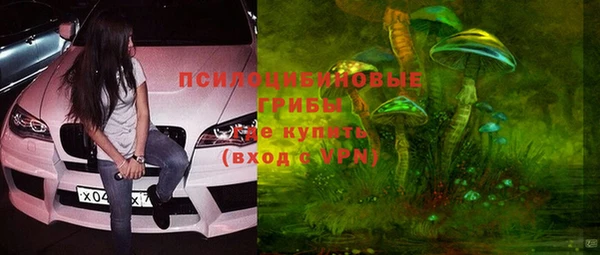 индика Кострома