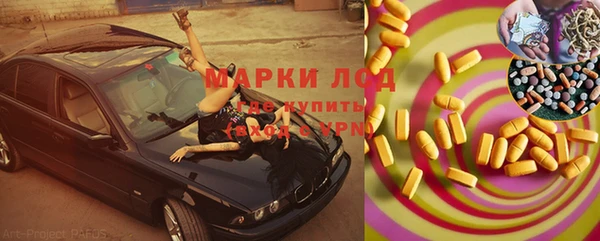 индика Кострома
