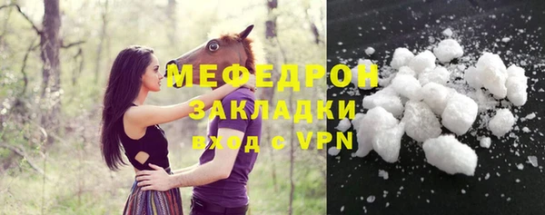 индика Кострома