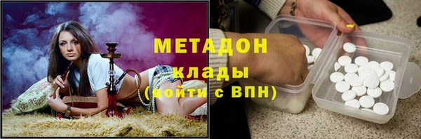 индика Кострома